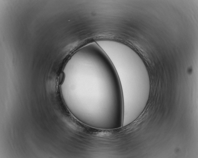 X0000099410168200805090736
