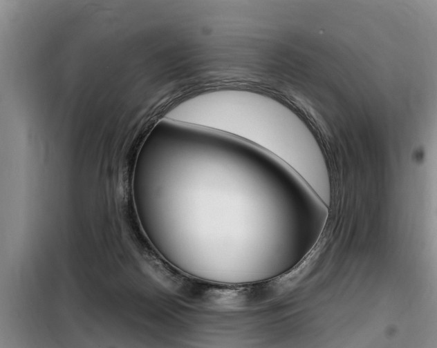 X0000099410170200805090736