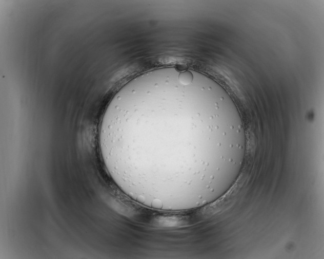 X0000099410171200805090736