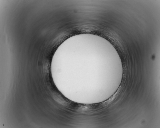 X0000099410174200805090736
