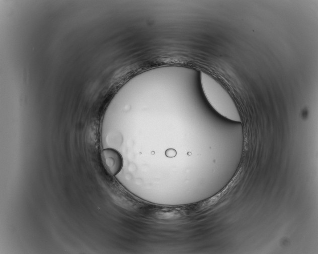 X0000099410175200805090736