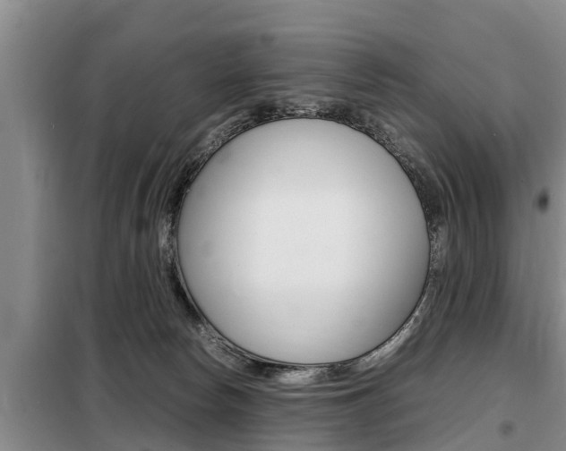 X0000099410178200805090736
