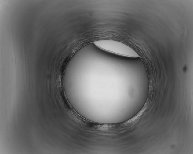 X0000099410182200805090736