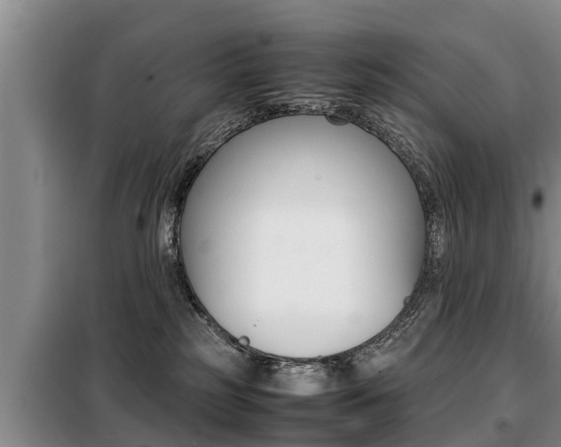 X0000099410185200805090736