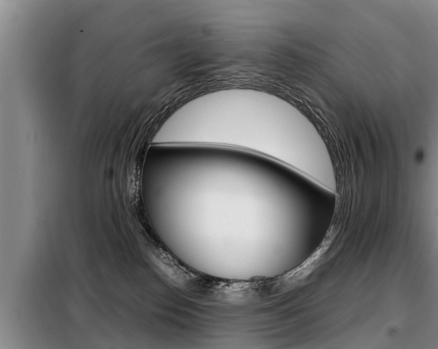 X0000099410186200805090736