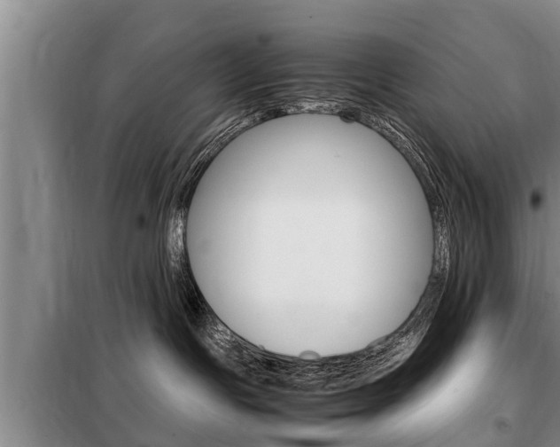 X0000099410191200805090736