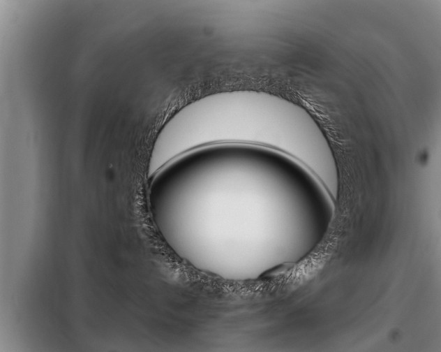 X0000099410192200805090736