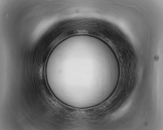 X0000099410194200805090735