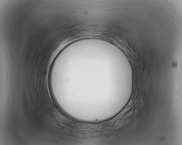 X0000099410195200805090735