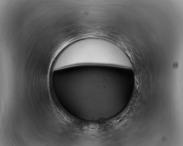 X0000099410196200805090735