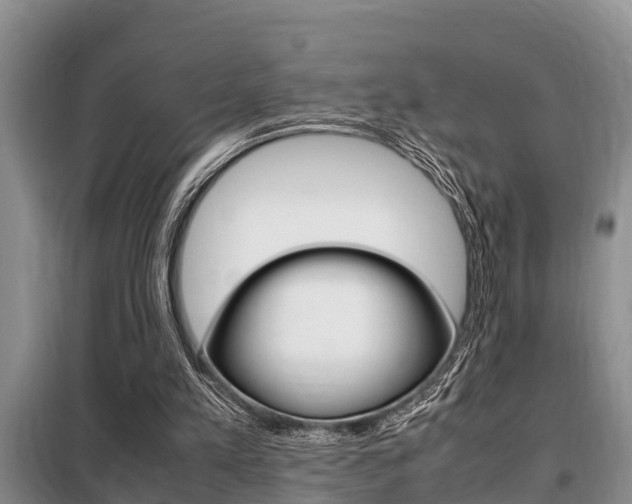 X0000099410197200805090735