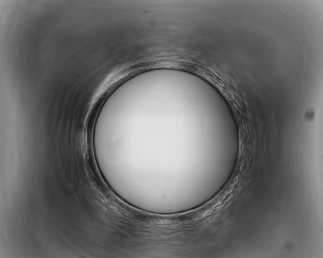 X0000099410198200805090735