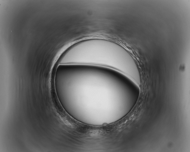 X0000099410200200805090735