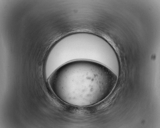 X0000099410201200805090735