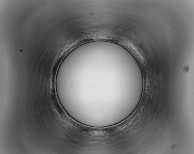 X0000099410202200805090735
