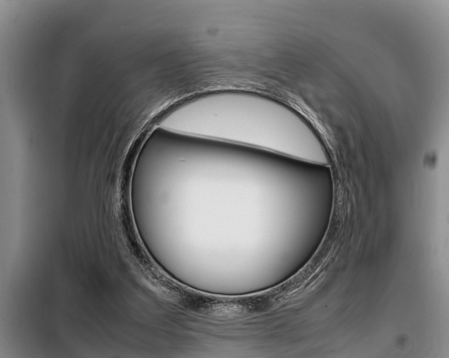 X0000099410203200805090735