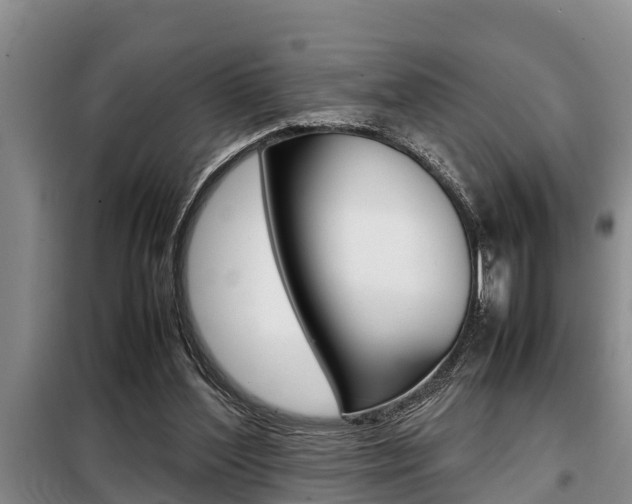 X0000099410204200805090735