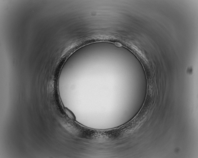 X0000099410207200805090735