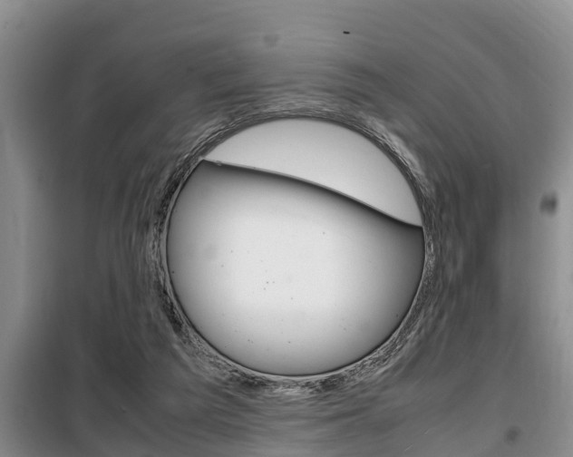 X0000099410209200805090735