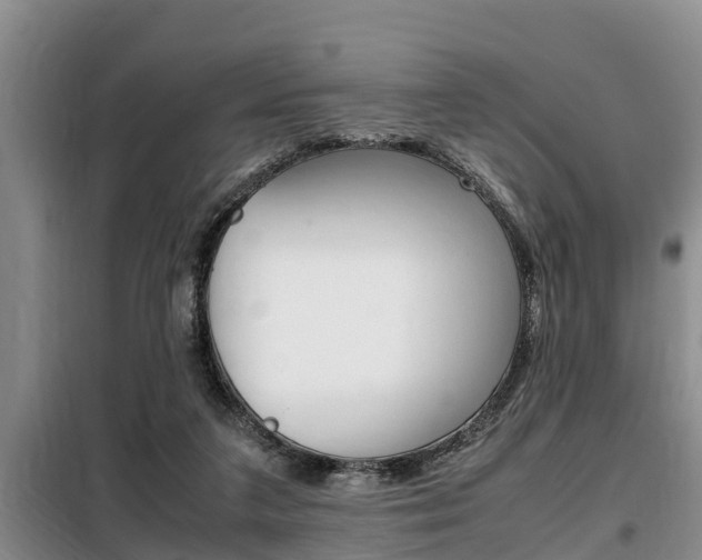 X0000099410211200805090735