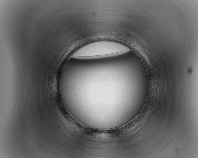 X0000099410212200805090735