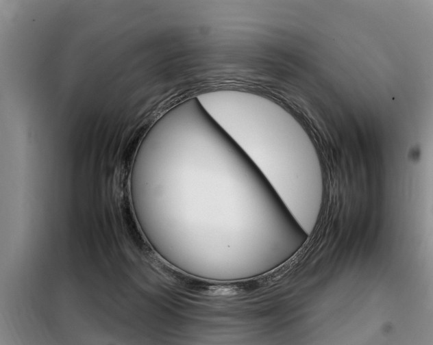 X0000099410218200805090735