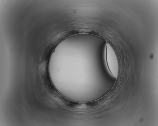 X0000099410219200805090735