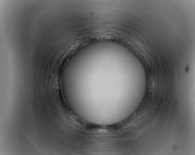X0000099410224200805090735
