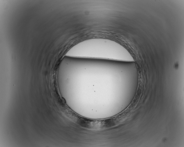 X0000099410225200805090735