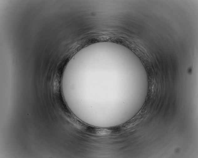 X0000099410226200805090735