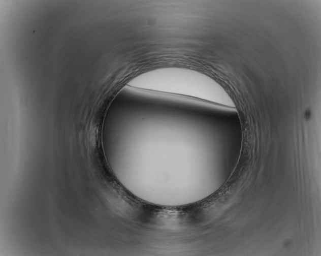 X0000099410227200805090735