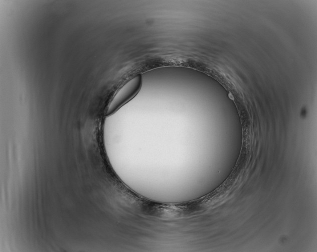 X0000099410229200805090735