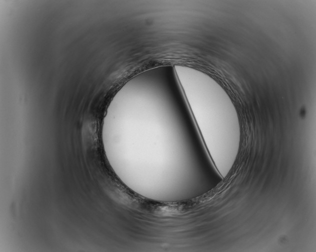 X0000099410232200805090735