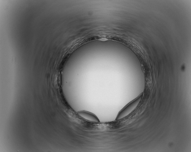 X0000099410233200805090735