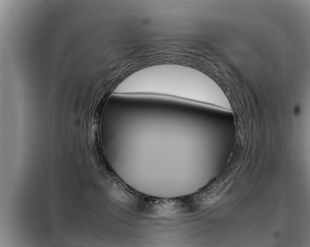 X0000099410235200805090735