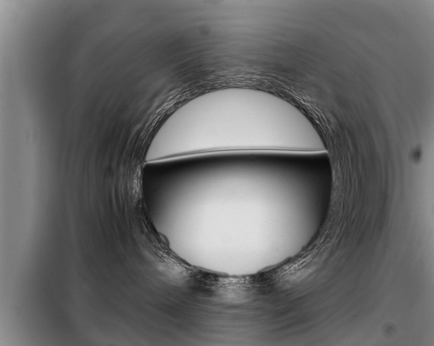X0000099410240200805090735