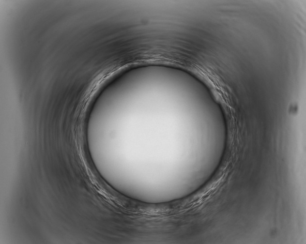 X0000099410241200805090734