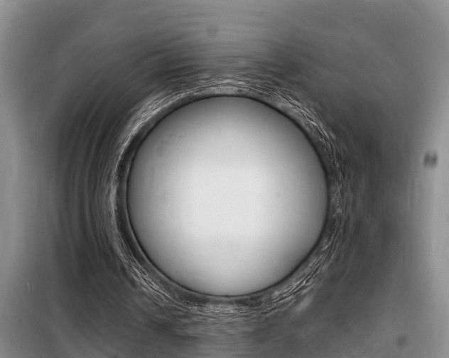 X0000099410242200805090734