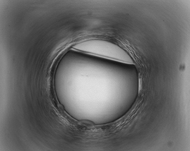 X0000099410243200805090734