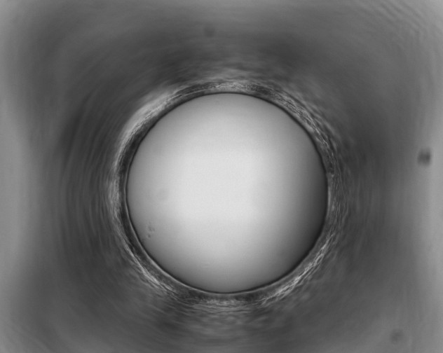 X0000099410245200805090734