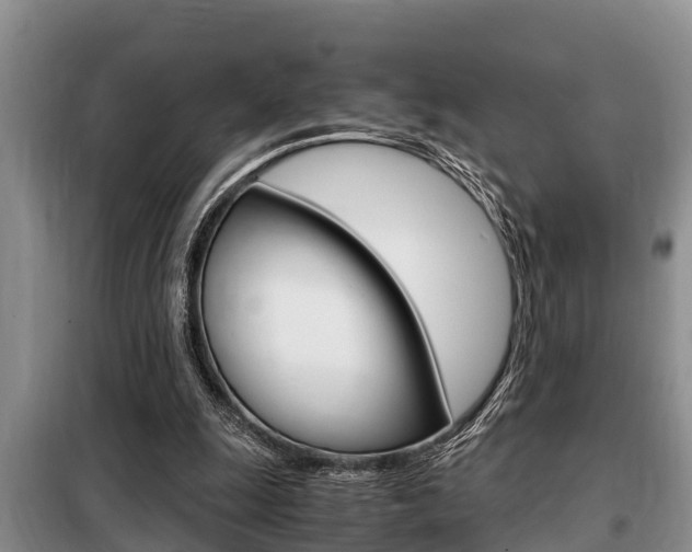 X0000099410247200805090734