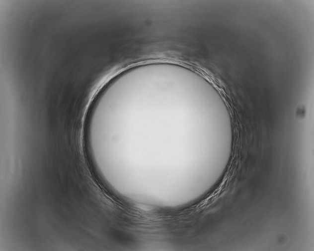 X0000099410248200805090734