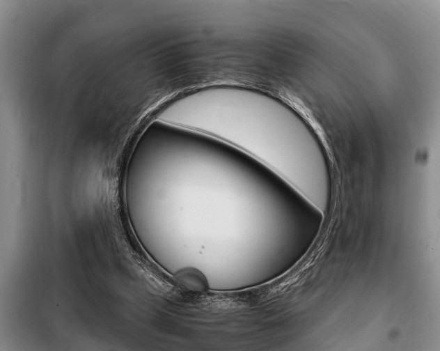 X0000099410249200805090734