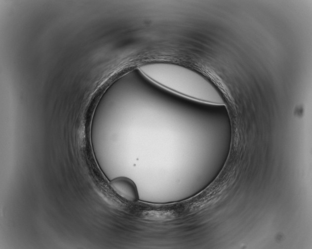 X0000099410251200805090734