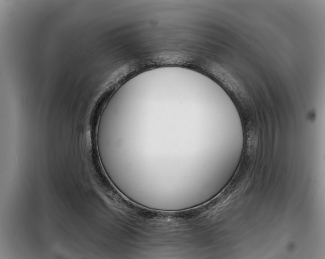 X0000099410254200805090734