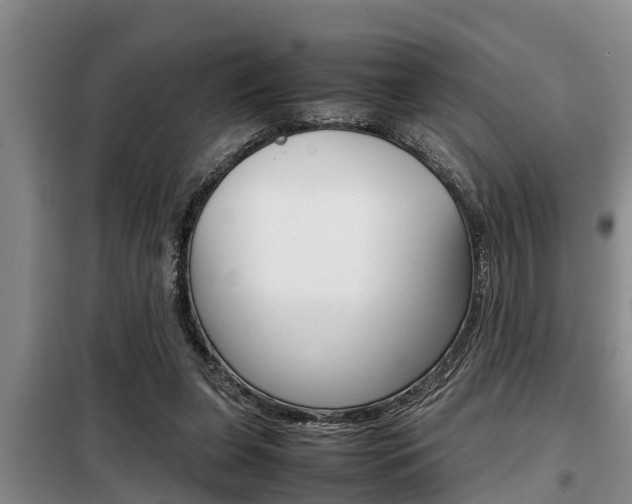 X0000099410255200805090734