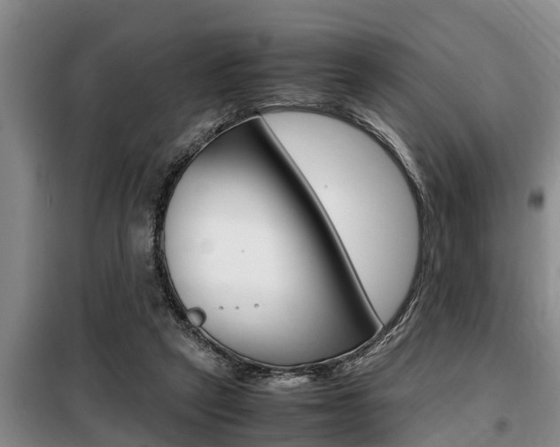 X0000099410257200805090734