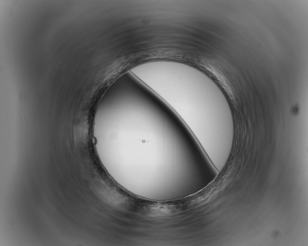 X0000099410261200805090734