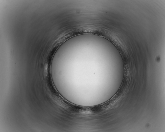 X0000099410262200805090734