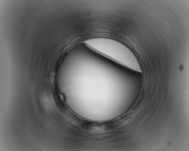 X0000099410263200805090734